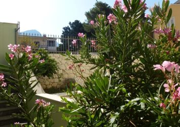 Apartments Divna